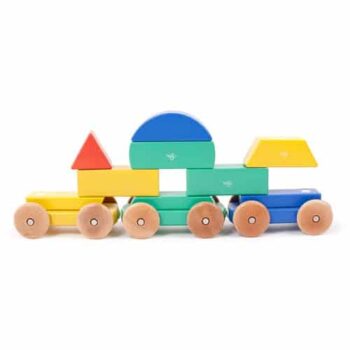 Tegu Baby Big Shape Train 9 Pieces
