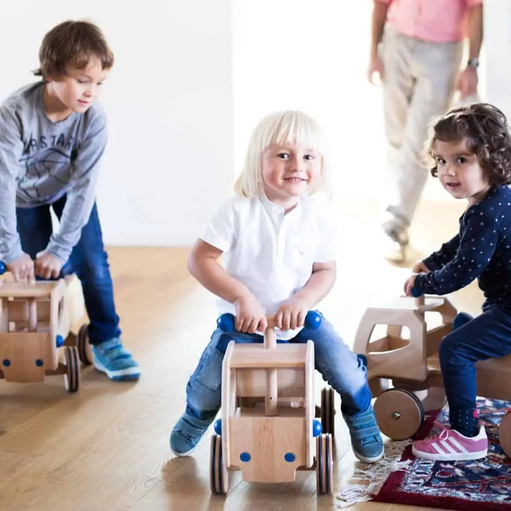 Dynamiko Holz-Rutscher Fred Dynamiko Holz-Rutscher Fred