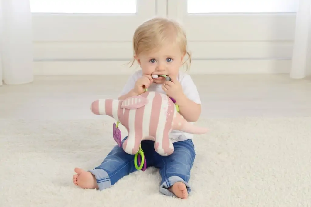 Dolce Baby Ameisenbär Alice (8) Dolce Baby Ameisenbär Alice (1)