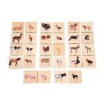 Tickit Domestic Animal Family Match (7)