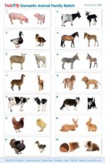 Tickit Domestic Animal Family Match