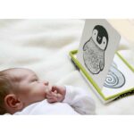 Wee Gallery Baby Art Cards - Wald
