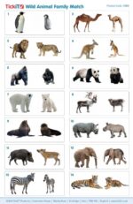 Tickit Wild Animal Family Match (3)