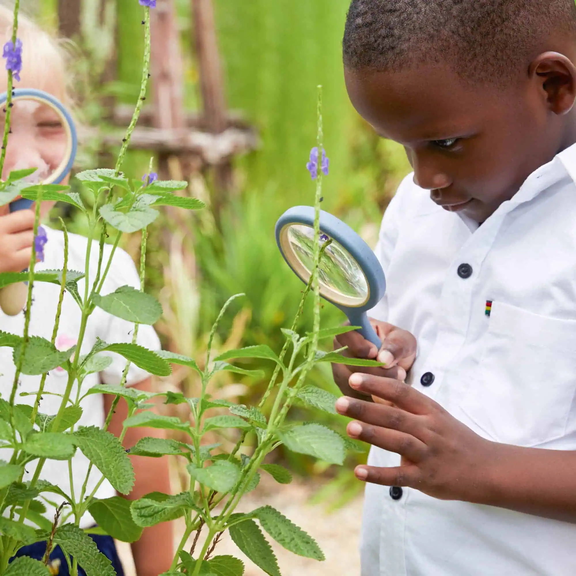 2. Kinder untersucht Pflanze mit Lupe im Garten, botanisches Lernen, Naturerkundung, grüne Pflanzen, Outdoor-Aktivität.