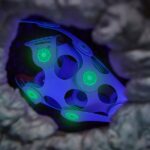 Clixo Ocean Creatures Pack (2)