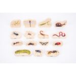 Tickit-Wooden Minibeast Blocks-73568