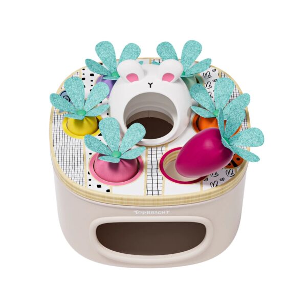 TOPBRIGHT-1211032022-SORTIERSPIEL KAROTTEN