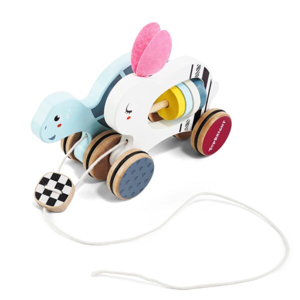 TOPBRIGHT-1211042022-DER HASE UND DIE SCHILDKRÖTE